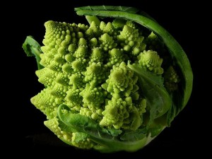 800px-Fractal_Broccoli