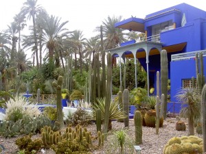 800px-Jardin_Majorelle