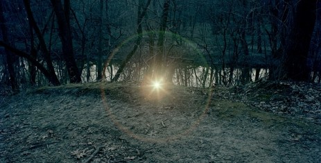 Adam Ekberg Flashlight On The Forest Floor - 2009