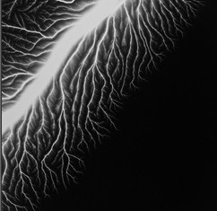 Hiroshi Sugimoto Lightning Fields 128 - 2008 