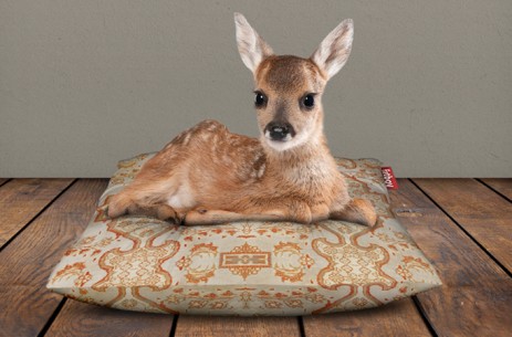 Coussin pour biche... ou autre.